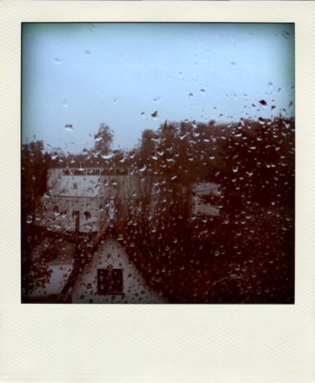 pola3.jpg